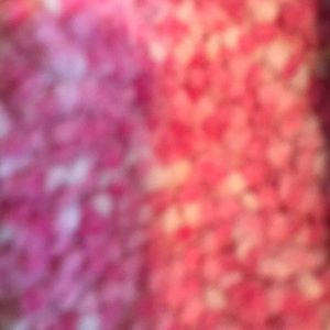 Meet your Posher, Evah